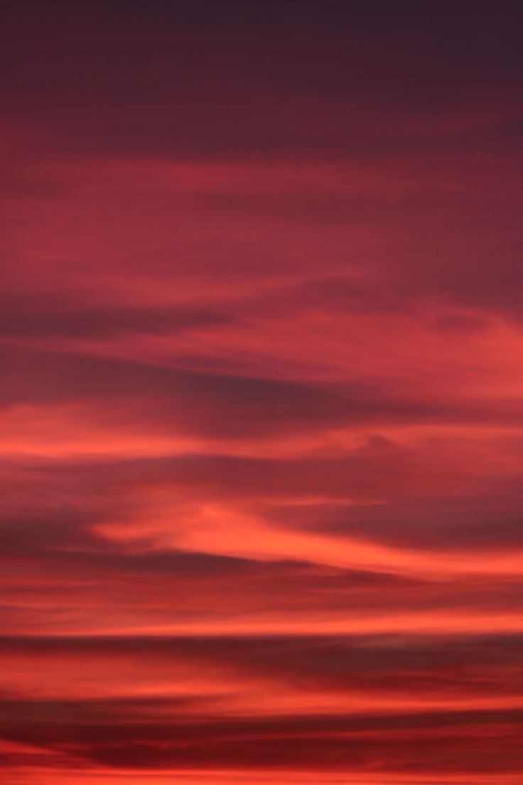 El color rojo ¿sigue siendo rojo cuando nadie lo mira? – II