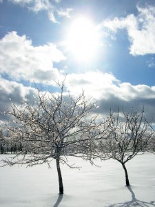 Snow Storm