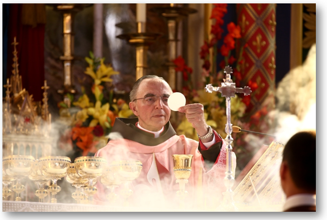 Conferências sobre a “Santa Missa”